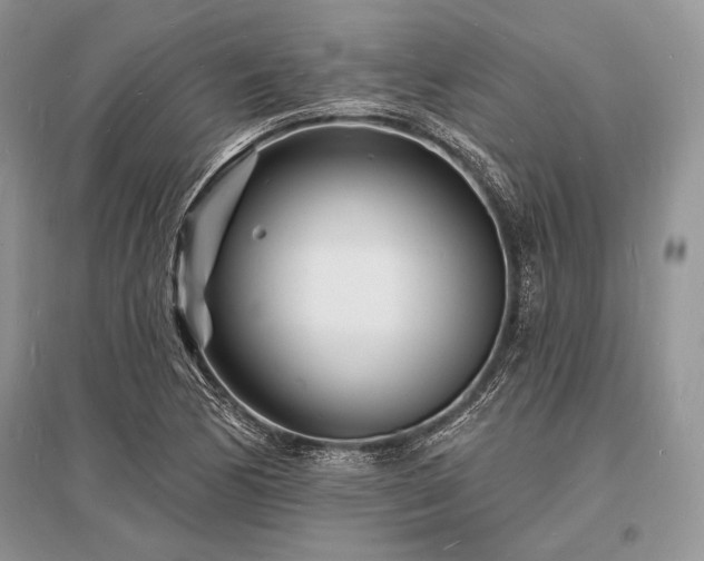 X0000096391170200801241254
