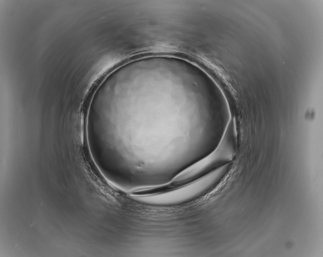 X0000096391171200801241254
