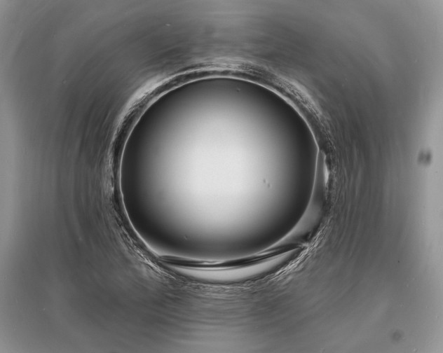 X0000096391172200801241254