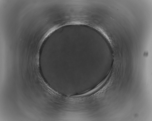 X0000096391173200801241254