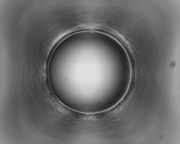 X0000096391174200801241254