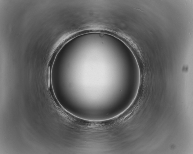 X0000096391175200801241254