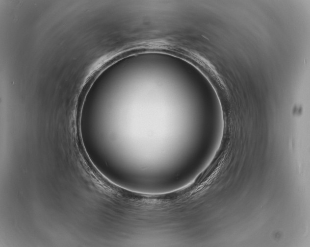 X0000096391176200801241254