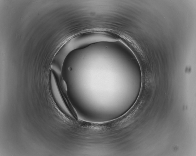 X0000096391177200801241254