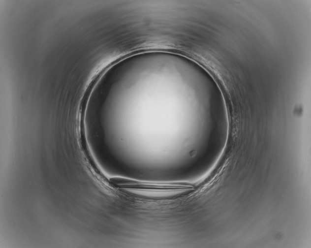 X0000096391179200801241254