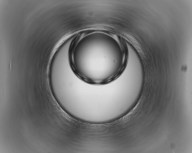 X0000096391180200801241254
