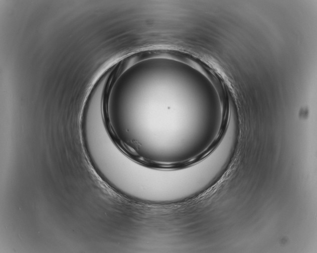 X0000096391181200801241254