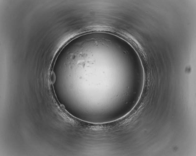 X0000096391182200801241254