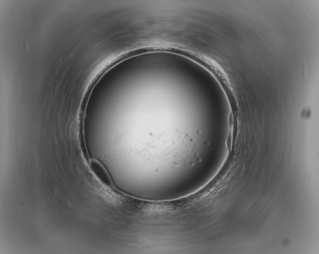 X0000096391183200801241254