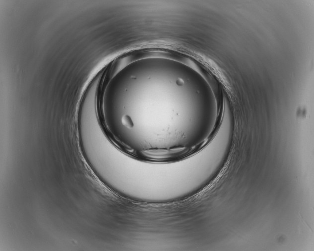 X0000096391184200801241254