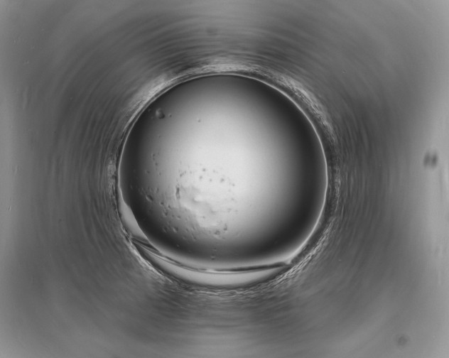 X0000096391185200801241254