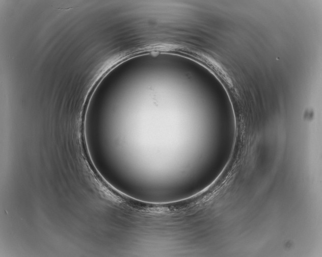 X0000096391186200801241254