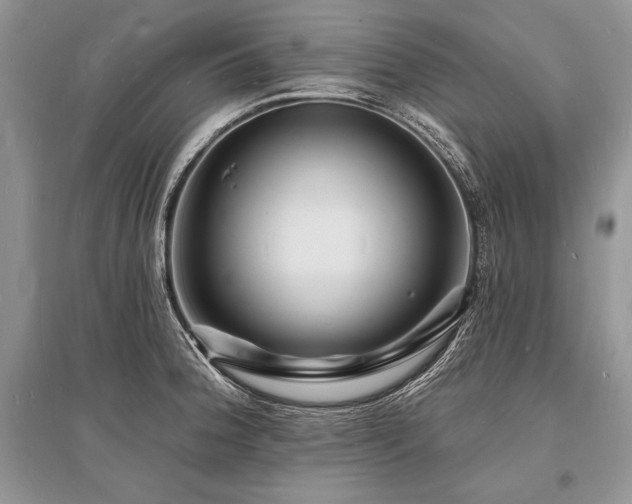 X0000096391188200801241254