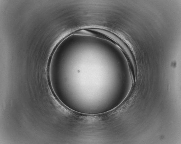 X0000096391189200801241254