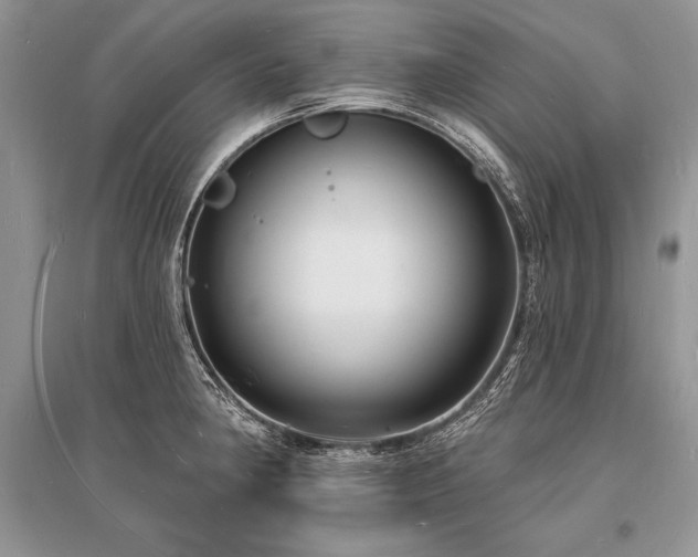 X0000096391190200801241254