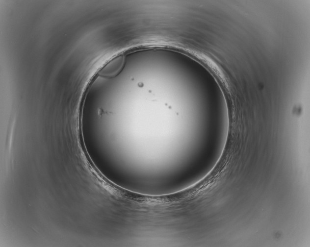 X0000096391191200801241254