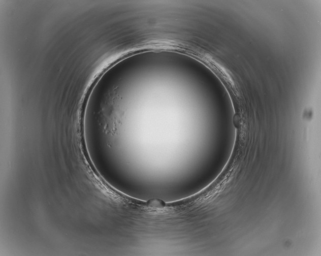 X0000096391192200801241254