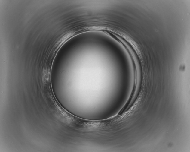 X0000096391193200801241254