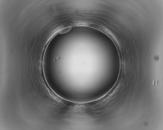 X0000096391194200801241254