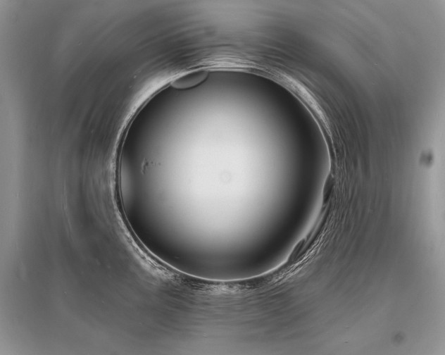 X0000096391195200801241254