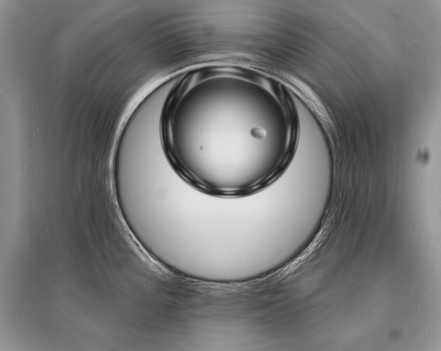 X0000096391196200801241254