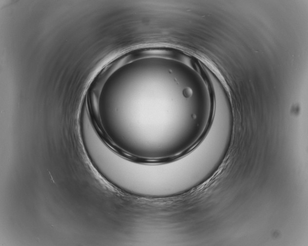 X0000096391197200801241254