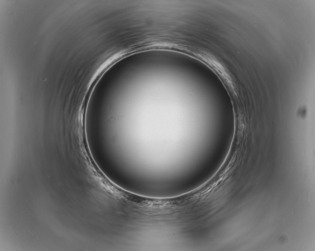 X0000096391198200801241254