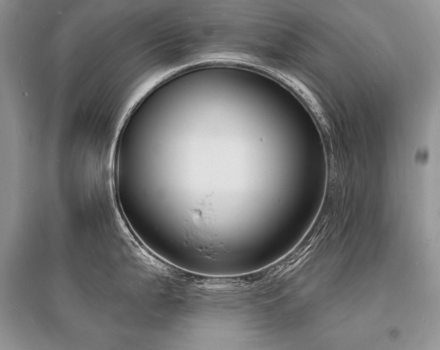 X0000096391199200801241254