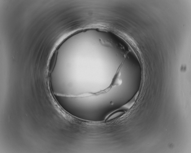 X0000096391200200801241254