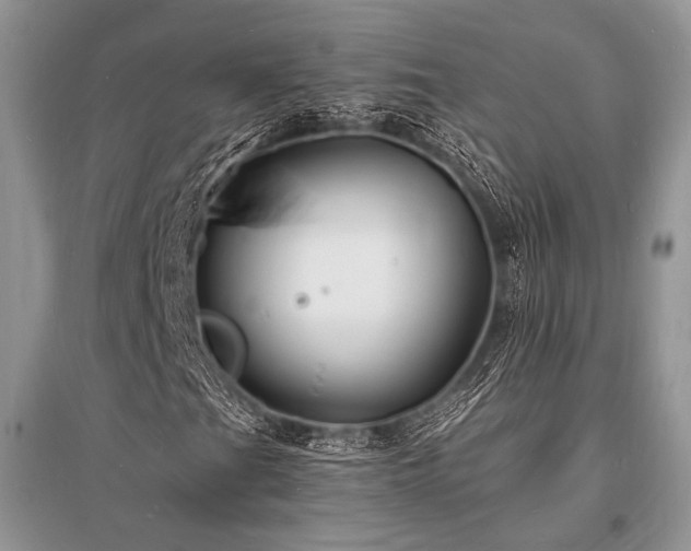 X0000096391201200801241253
