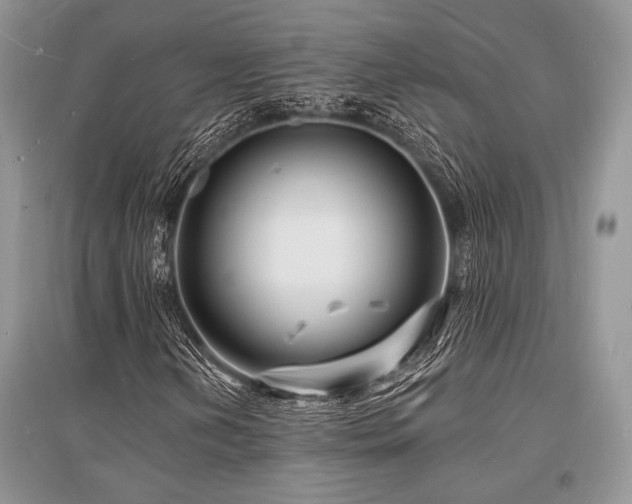 X0000096391202200801241253