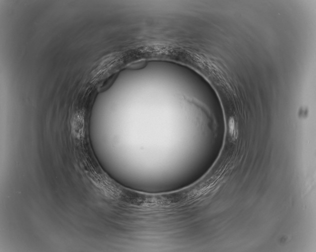 X0000096391203200801241253