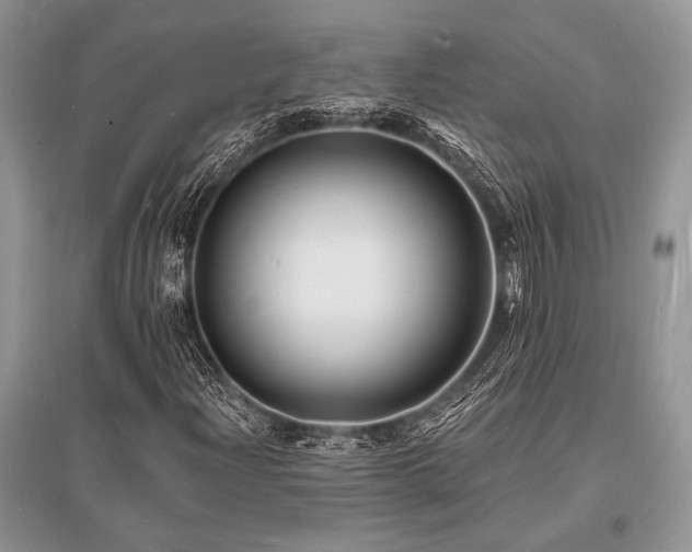 X0000096391204200801241253
