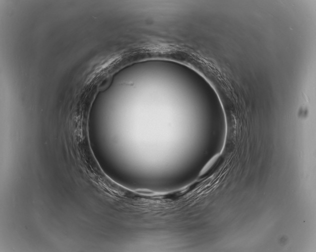 X0000096391205200801241253