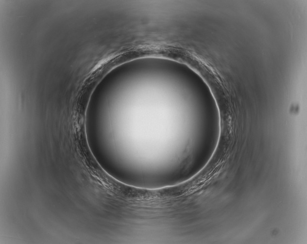 X0000096391206200801241253