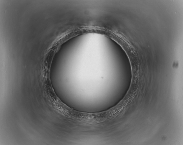 X0000096391207200801241253