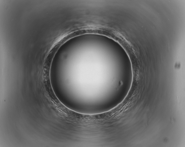 X0000096391208200801241253