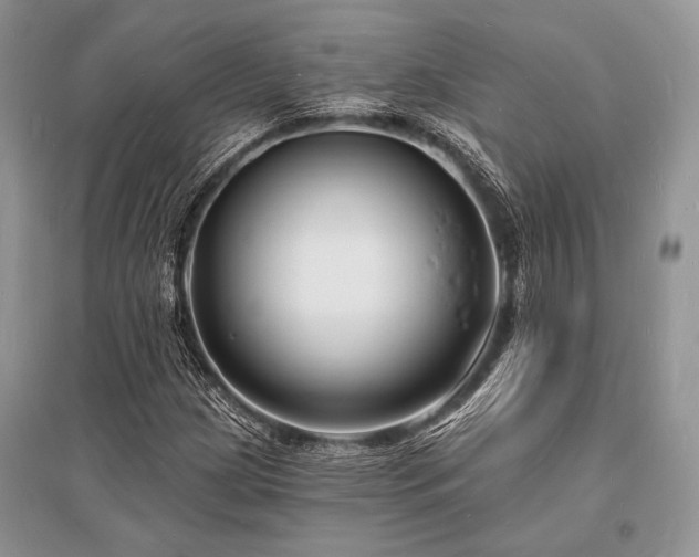 X0000096391209200801241253