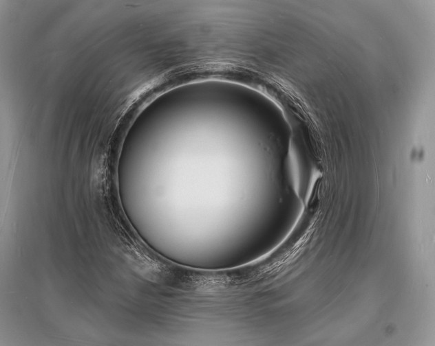 X0000096391210200801241253