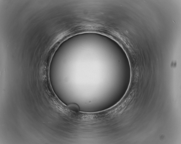 X0000096391211200801241253