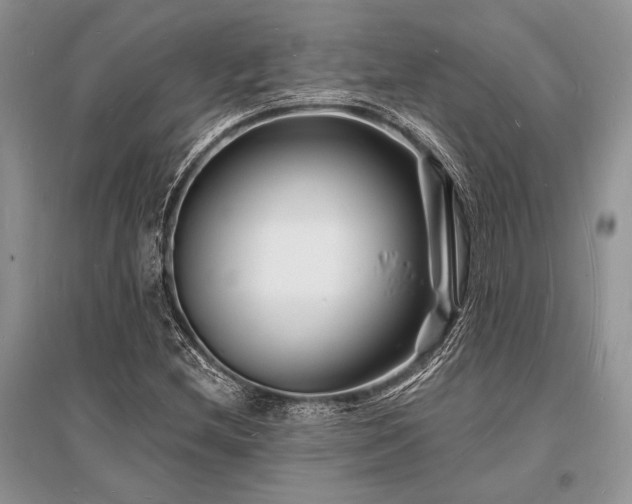 X0000096391212200801241253