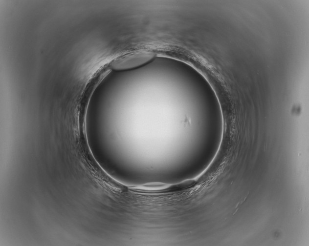 X0000096391214200801241253