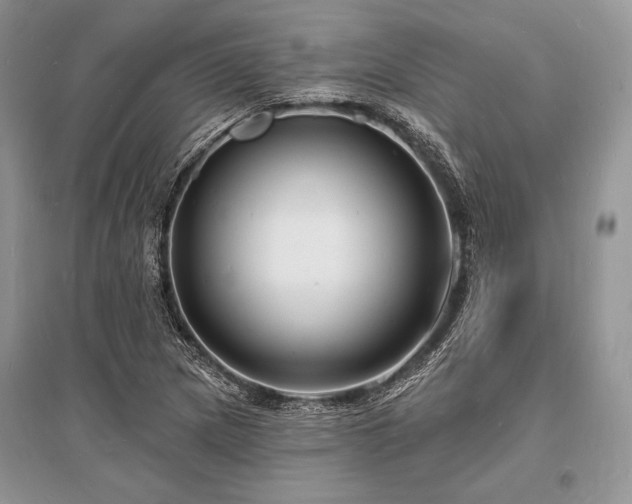 X0000096391217200801241253