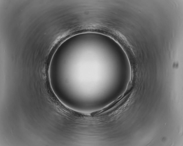 X0000096391218200801241253