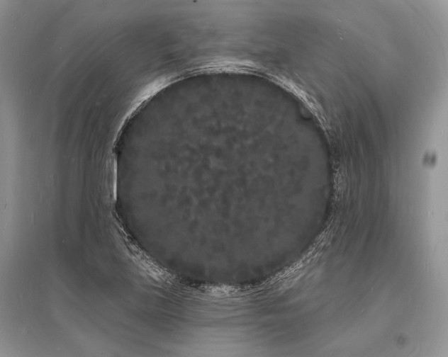 X0000096391219200801241253