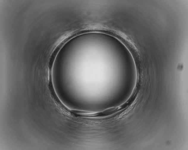 X0000096391221200801241253