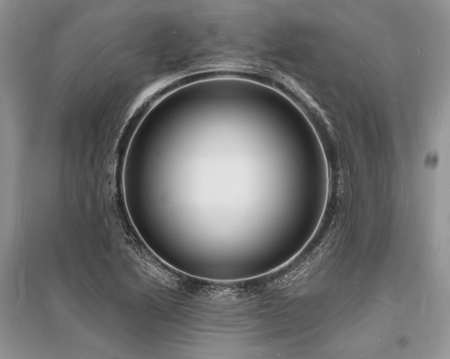 X0000096391222200801241253