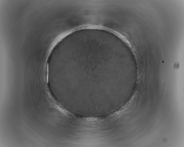 X0000096391223200801241253