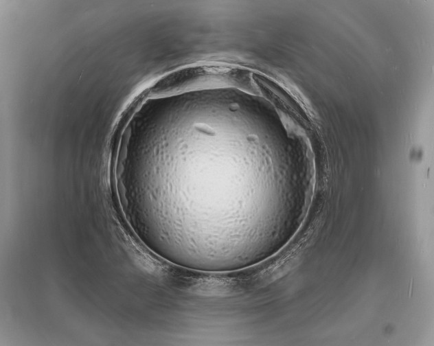 X0000096391224200801241253