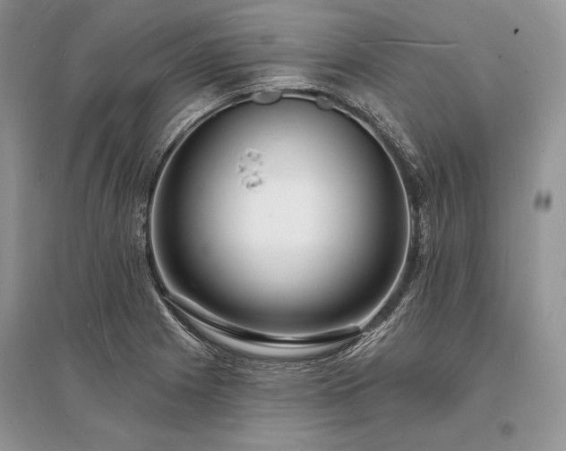 X0000096391225200801241253